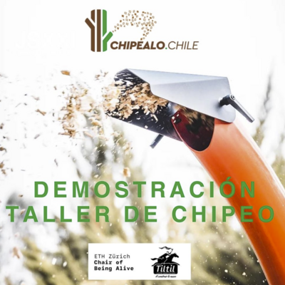15/03/2024 Taller de Chipeo / Chipping Workshop